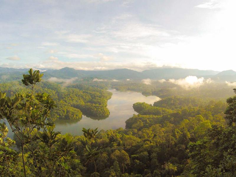 全息玫瑰<br>btozrgo.cn 虚拟爱人告别